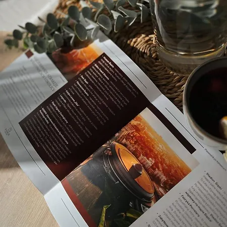 Kairos - Spodek Ii - 100 M Od Spodka Apartment *